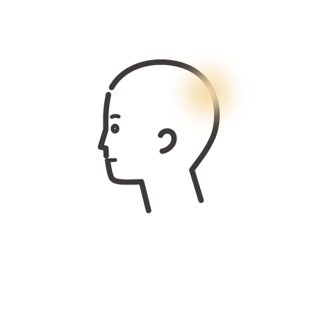 頭
